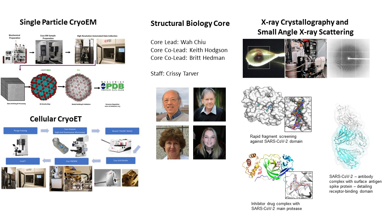 Structural Biology Core - ViRx@STANFORD - Virus Treatment (Rx)